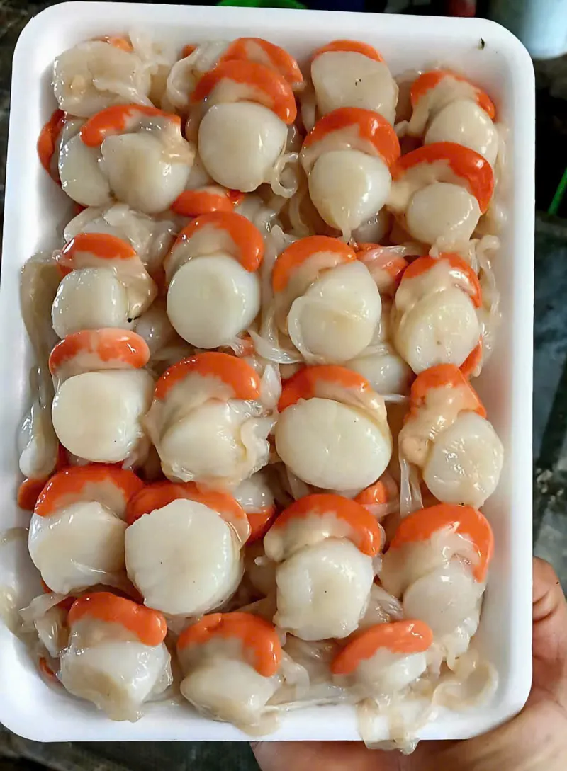 Cồi sò điệp